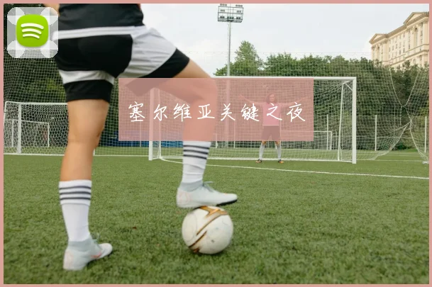 塞尔维亚关键之夜