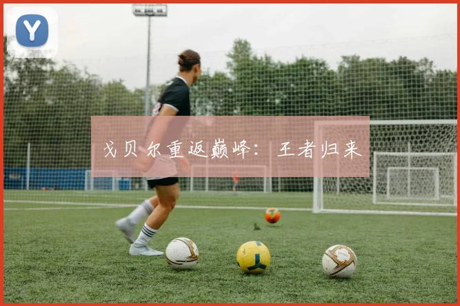 戈贝尔重返巅峰：王者归来